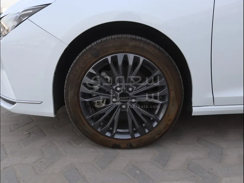 2024 دونج فينج شاين