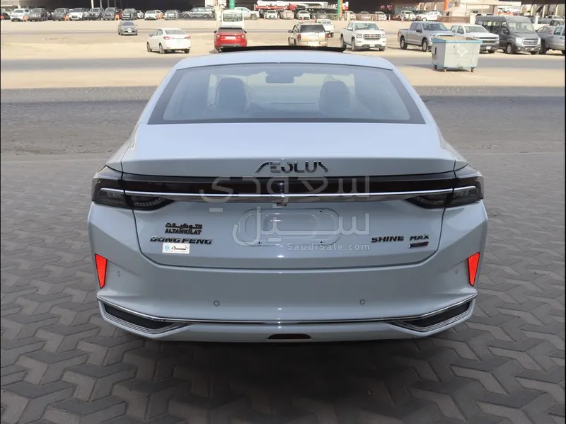 2024 دونج فينج شاين