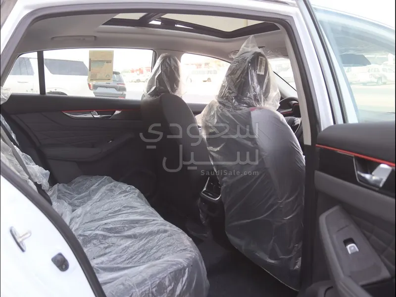 2024 دونج فينج شاين