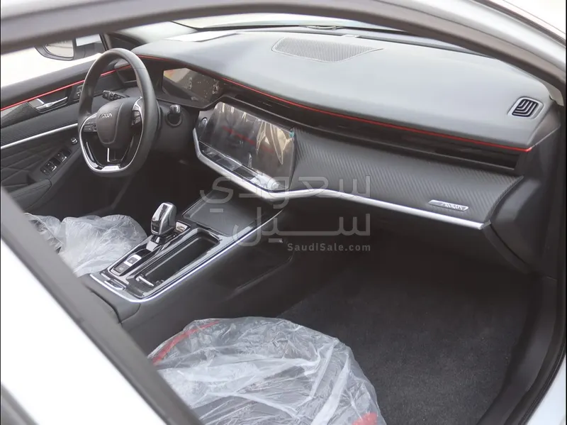 2024 دونج فينج شاين