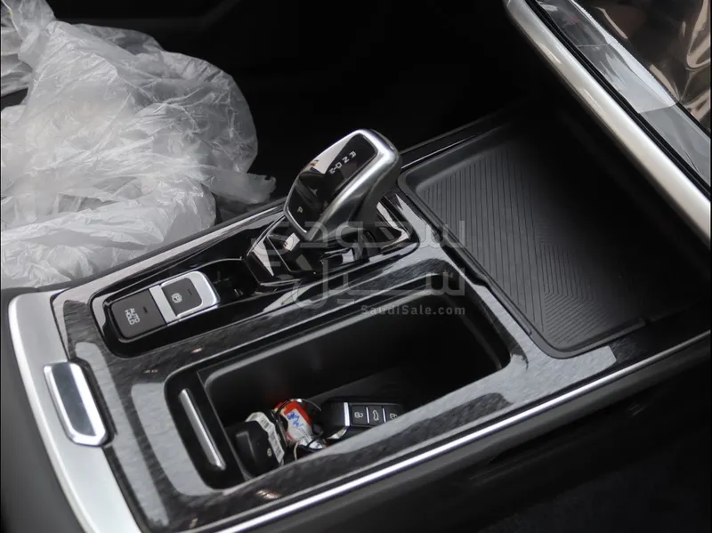 2024 دونج فينج شاين