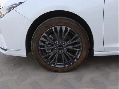 2024 دونج فينج شاين