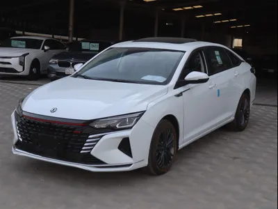 2024 دونج فينج شاين