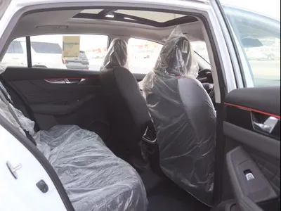 2024 دونج فينج شاين