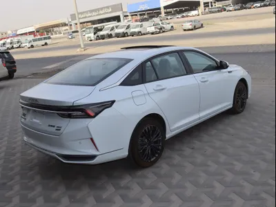 2024 دونج فينج شاين