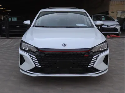 2024 دونج فينج شاين