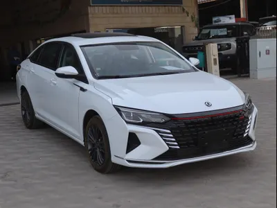 2024 دونج فينج شاين