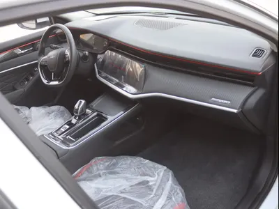 2024 دونج فينج شاين