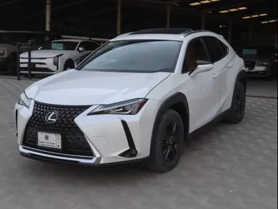 2022 لكزس يو إكس 200