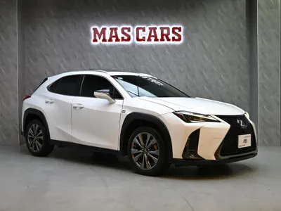 2019 لكزس يو إكس 200