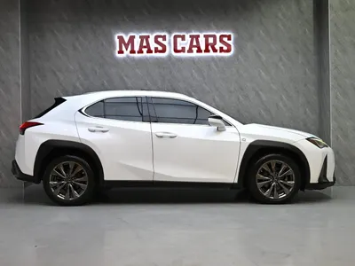 2019 لكزس يو إكس 200