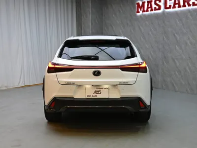 2019 لكزس يو إكس 200