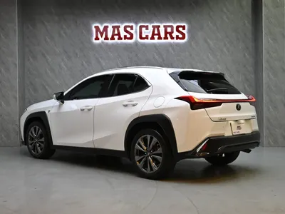 2019 لكزس يو إكس 200