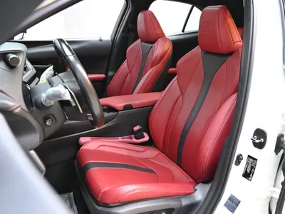 2019 لكزس يو إكس 200