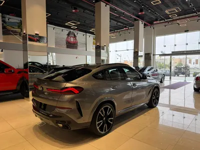 2024 بي ام دبليو الفئة اكس 6