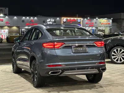 2022 جيلي توجيلا