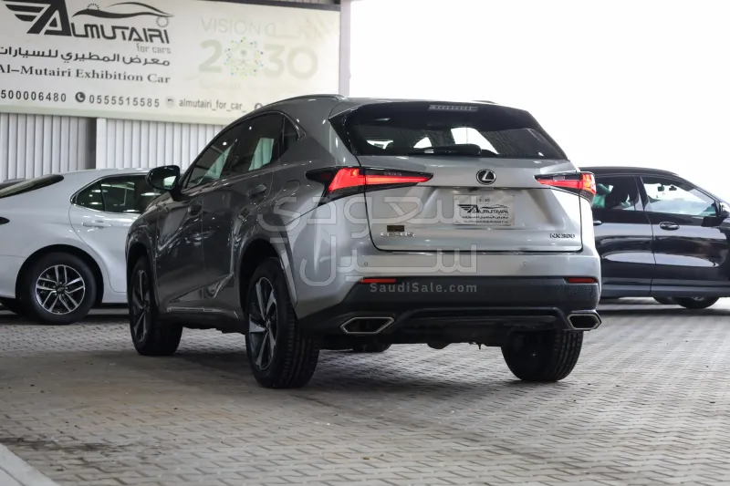 2021 لكزس إن إكس 300