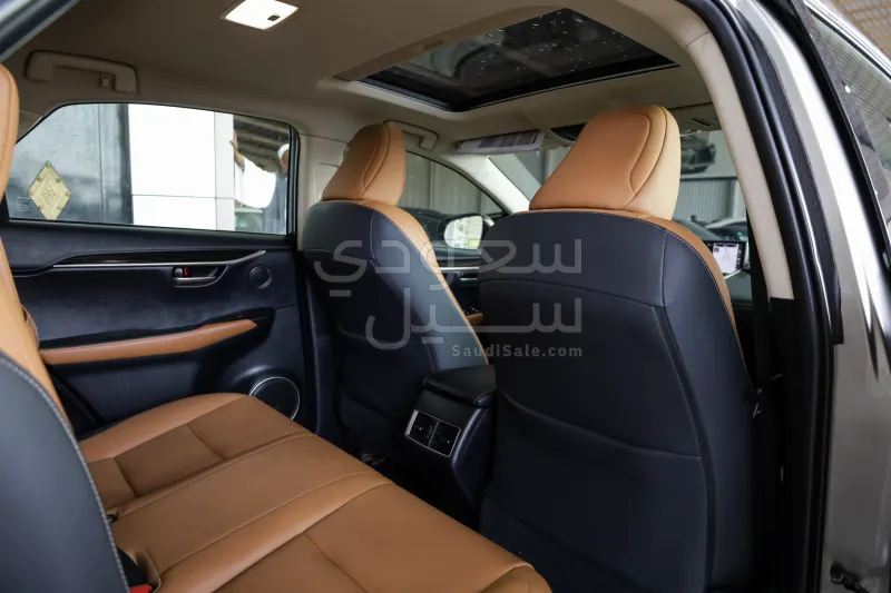 2021 لكزس إن إكس 300