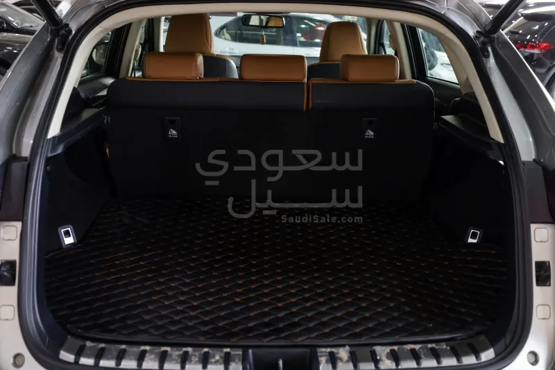 2021 لكزس إن إكس 300