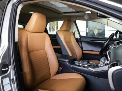 2021 لكزس إن إكس 300