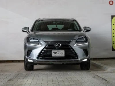 2021 لكزس إن إكس 300