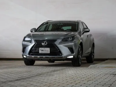 2021 لكزس إن إكس 300