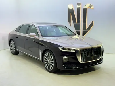 2022 Hongqi h9 Standart