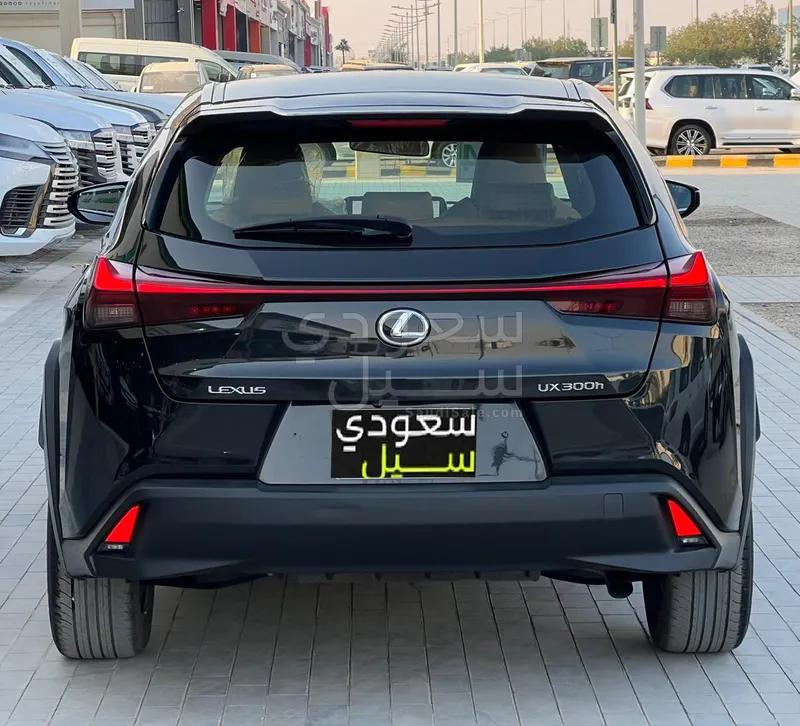 2024 لكزس يو إكس اتش300