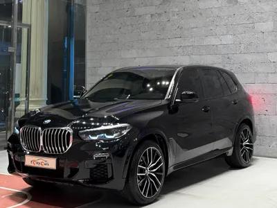 2019 بي ام دبليو الفئة اكس 5