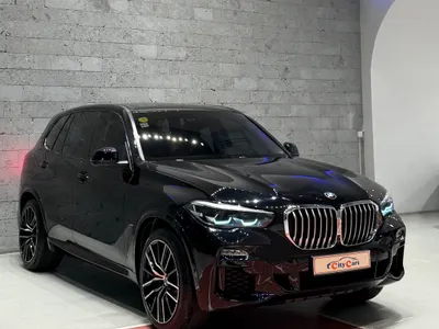 2019 بي ام دبليو الفئة اكس 5