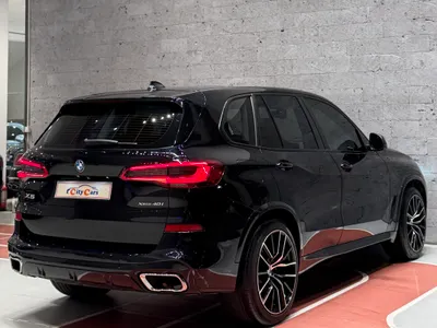 2019 بي ام دبليو الفئة اكس 5