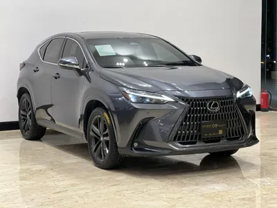 2023 لكزس إن إكس 350