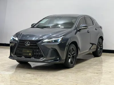 2023 لكزس إن إكس 350