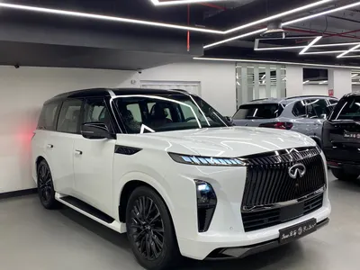 2025 انفينيتي كيو اكس 80