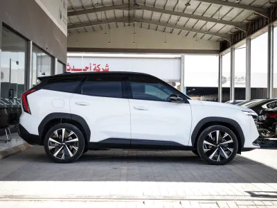 2024 جيلي بريفيس