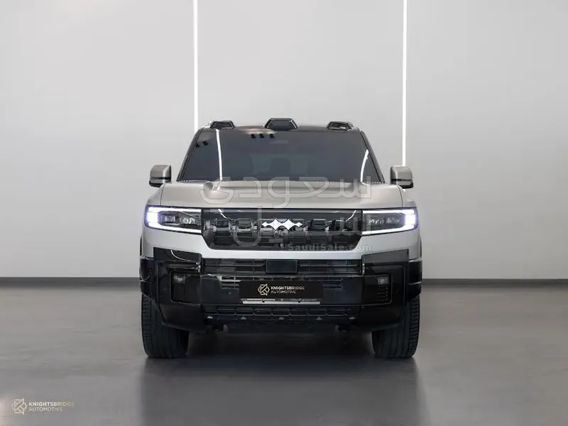 2025 بي واي دي ليوبارد 8