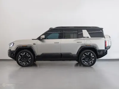 2025 بي واي دي ليوبارد 8