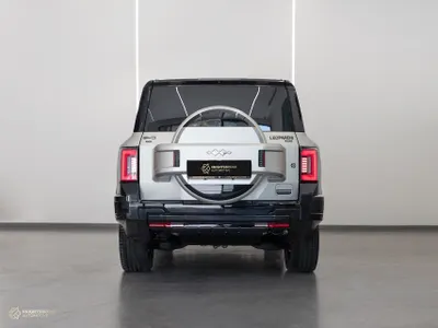 2025 بي واي دي ليوبارد 8