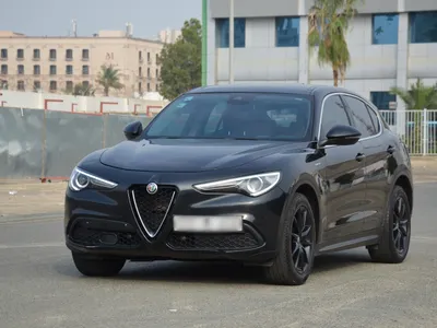 2020 الفا روميو ستيلفيو