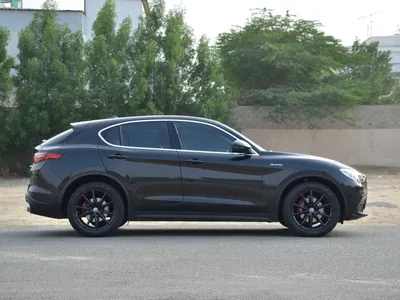 2020 الفا روميو ستيلفيو