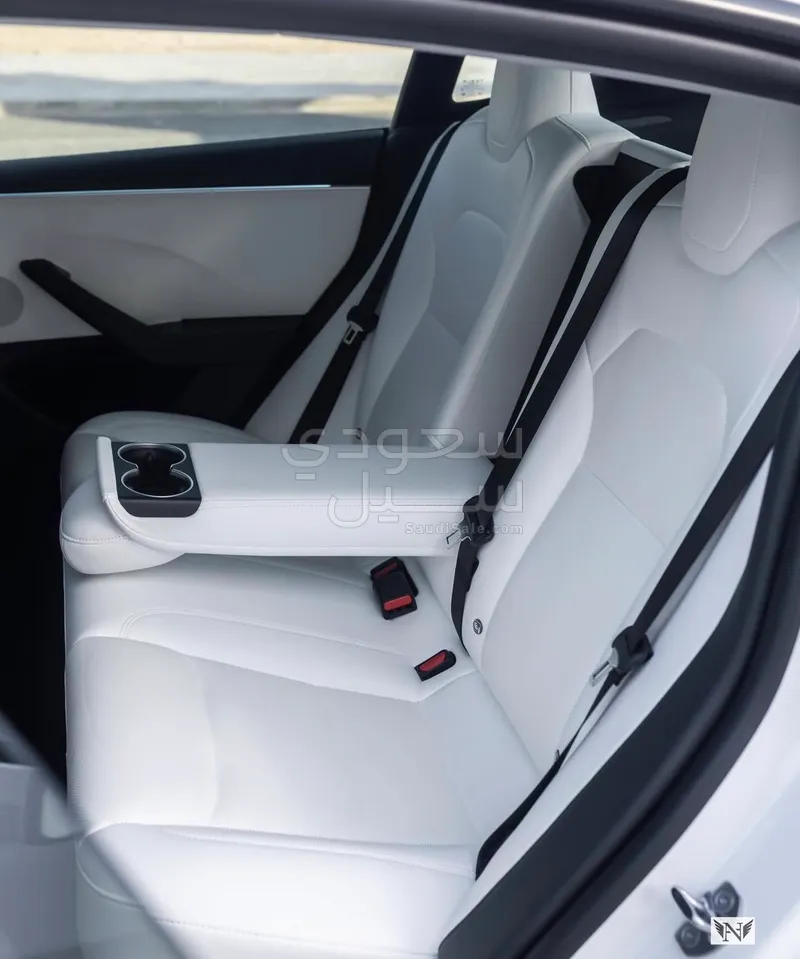 2025 تيسلا 3موديل بيرفورمانس