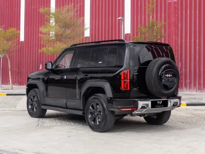 2026 بي واي دي ليوبارد 5