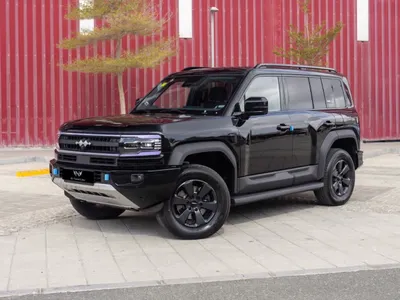 2026 بي واي دي ليوبارد 5