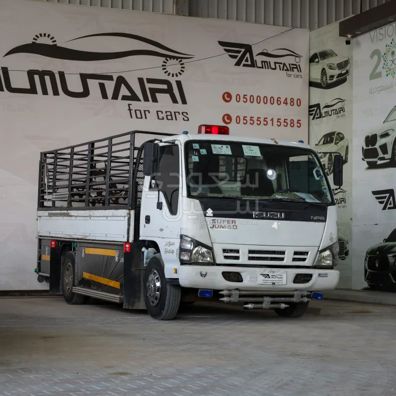 2008 ايسوزو دينا