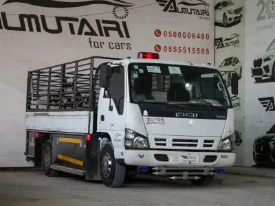 2008 ايسوزو دينا