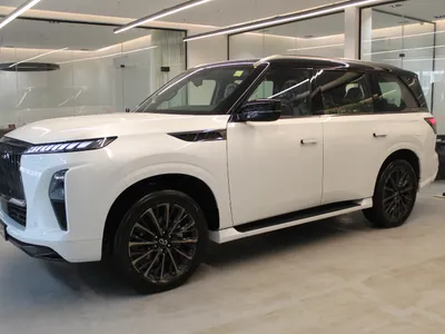 2025 انفينيتي كيو اكس 80