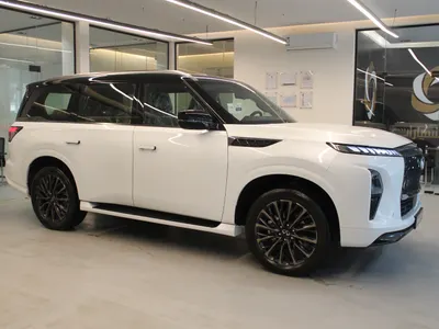 2025 انفينيتي كيو اكس 80