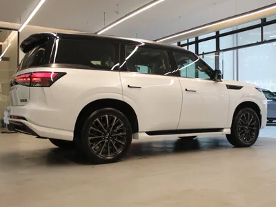 2025 انفينيتي كيو اكس 80