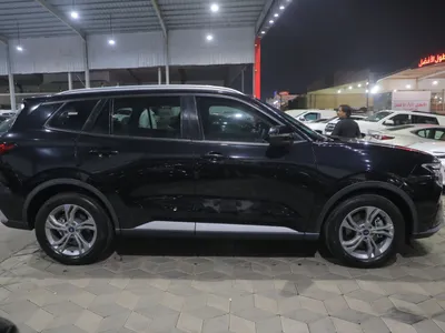 2025 فورد تيريتوري