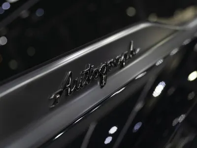 2025 انفينيتي كيو اكس 80